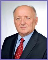 prof. dr. hab. inż. Henryk Dyja